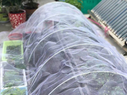 High Density Agriculture Insect Net 50gsm Plant Cover Net 60mesh White Vegetable