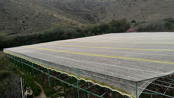 HDPE 紫外線 処理 昆虫 防止 農業 網 は 破裂 耐性 を 提供 し ます